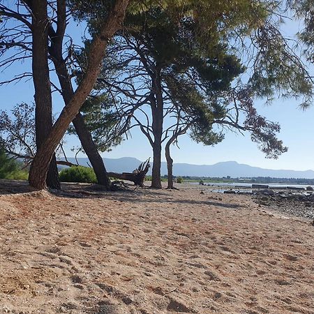 Penthouse Apartman Marcelina In Trogir Eksteriør bilde